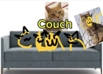 Couch Cat Clan