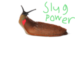 Slug1919