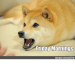 My doge group :D
