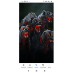 The Mega_Hounds