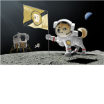 The Elite Doge Empire