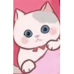 IDATCHI