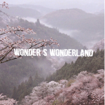 wonder’s wonderland