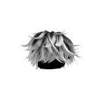 White With Black Messy Fluffy Hair