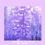 ~ Wisteria Studios ~