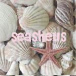 {Seashells}