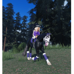 Maple Springs - Living Riding School