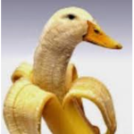 bananabread vs bananaduck