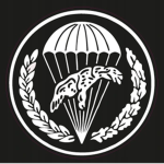 _28th Tank Division_