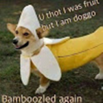 bamboozlers