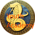 Egyptian Youth Academy