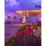 Dream Aesthetic