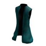 Blue Vest