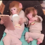 -My angels