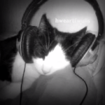 * ʜᴡᴇᴀʀᴛꜰᴡᴜʟʟꜱ