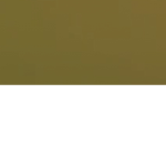 Alexj12345S