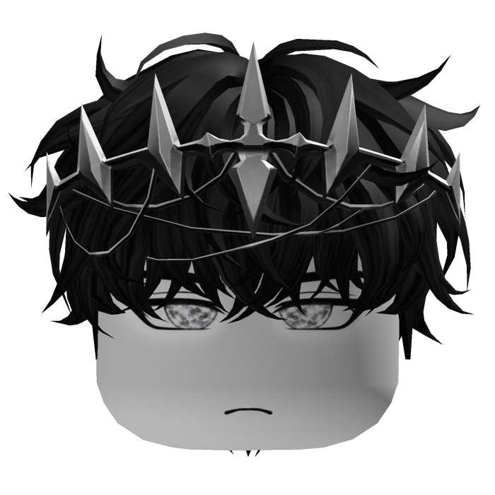Celestial Prince Silver Black Hair