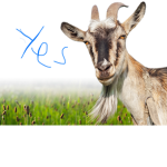 Goatyes group