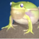 frogget clan