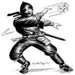 Best Ninja's Around.