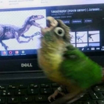survival the velociraptor the killer