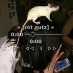 r4t gutz