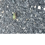 Itsthefroggygirl fan group