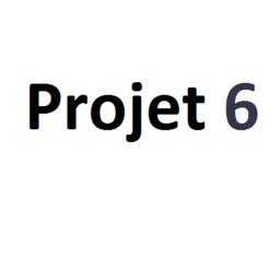 Projet 6  icon