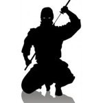 The Ninja Empire-