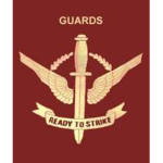 [SAF] - Singapore Guards Formation