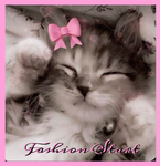 Fashion Start
