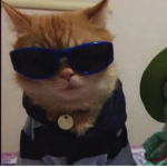 are you serious right neow dawds