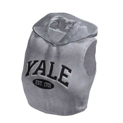 Grey Yale University Crop Y2K Hoodie 