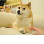 Doge units