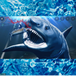 shark fan gang