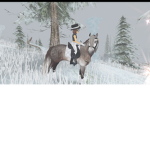 i love horses that are pritty