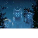 |Warrior Cats, Star Clan|