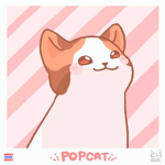 POP CATS FANS CLUB