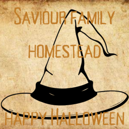 Homestead