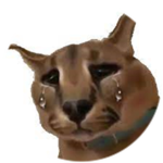 PETA