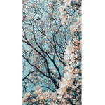 Blossom . Bunnies