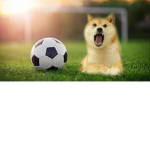 Soccer Doges