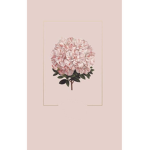 Flowers together