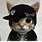 Team POPPPP CATTT