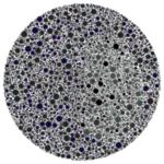 Colorblind Chomik