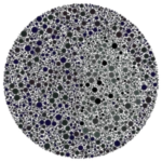 Colorblind Chomik