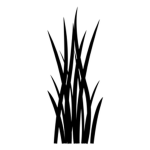 Torange