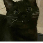 gℓσω ¢ℓσтнιиg