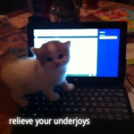 underjoyed