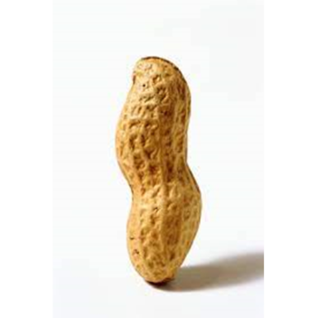 Mr.Peanut's Peanut Farm Made For Peanut Farmers
